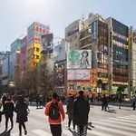 Edogawa Japanese Style 3B Has Direct Access To Akihabara And Shinjuku, With Convenient Free Wifi